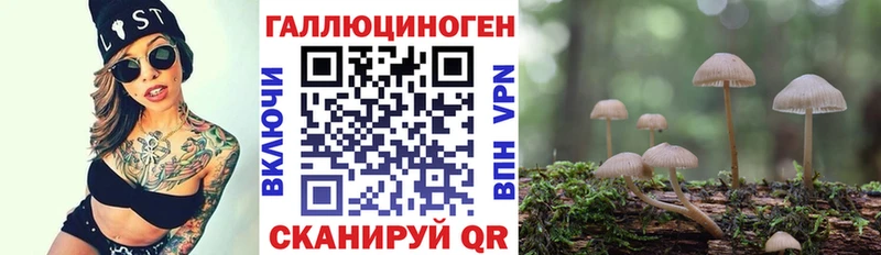 Купить закладки  Рыбинск  Псилоцибиновые грибы GOLDEN TEACHER 